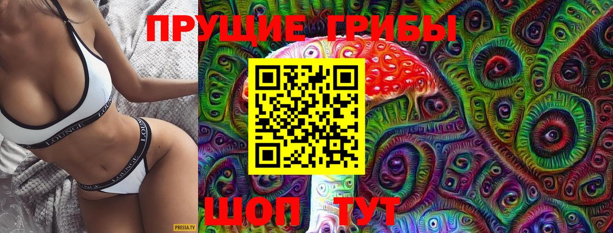 Строитель  Галлюциногенные грибы Psilocybine cubensis  Вход с VPN 
